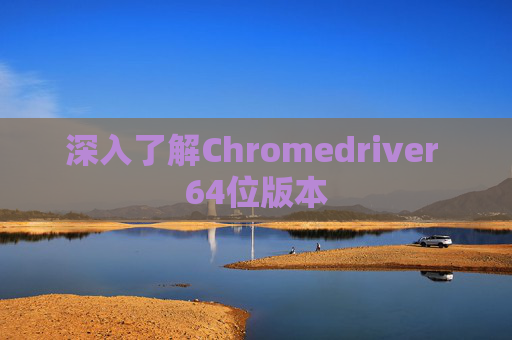 深入了解Chromedriver 64位版本